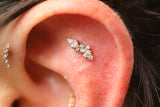 14kt Mixt Top