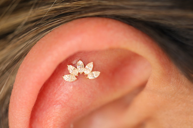18kt Ivy Fan Top