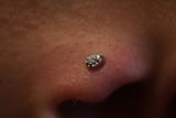 14kt Baylee Top