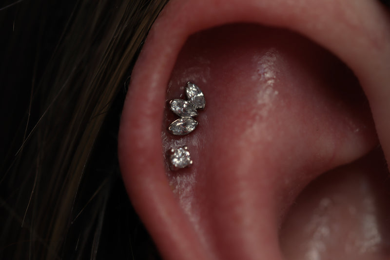 18kt Ivy Fan Top