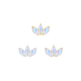 14kt Mini Moet Top
