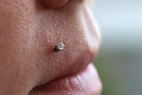 Single Lip Piercing-Any Placement (Ages 16+)