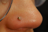 14kt Star Stuff Top