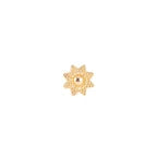 14kt Starmie Top