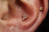 14kt Tres Top