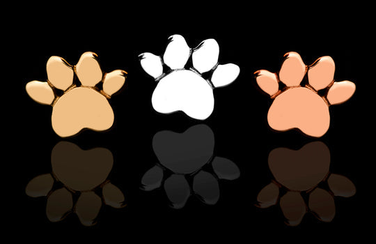 Gold Dog Paw Top