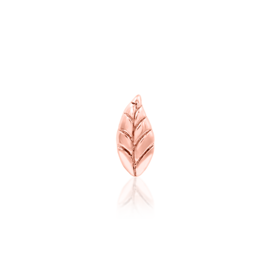 14kt Bay Leaf Top